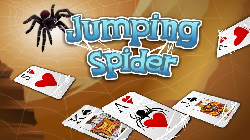 Jumping Spider